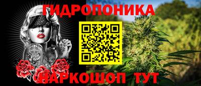 кокс Нальчик