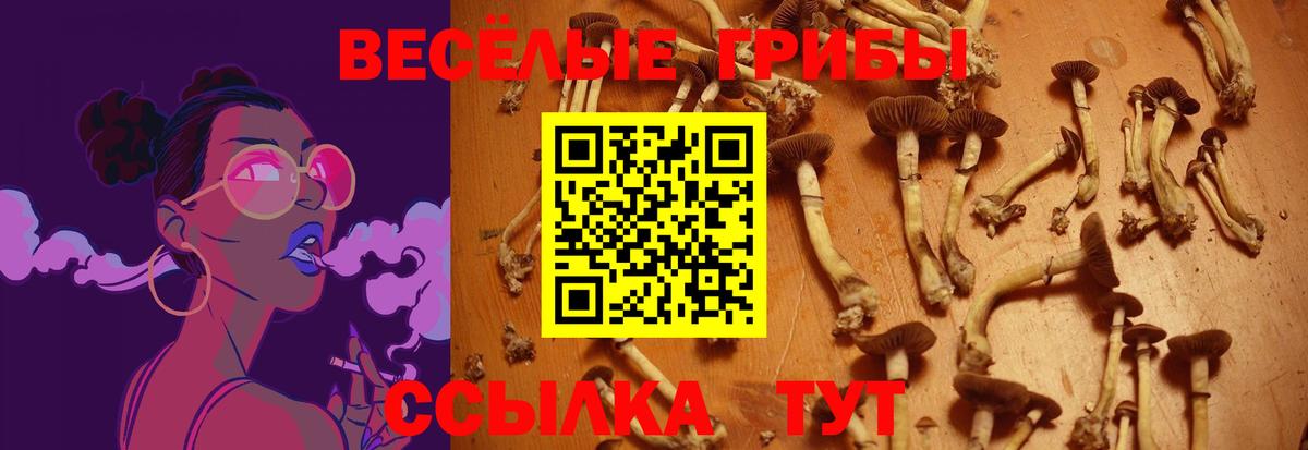 Галлюциногенные грибы прущие грибы Тверь