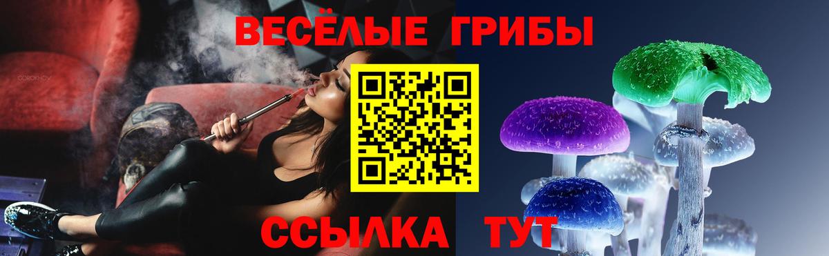 Тверь  Галлюциногенные грибы MAGIC MUSHROOMS  Псилоцибиновые грибы Magic Shrooms  хочу наркоту  Вход с VPN 